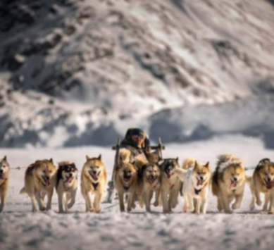 activity_detail_image