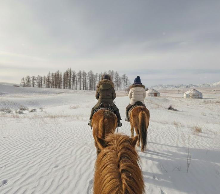 [노니투어] [별밤2탄/2박3일] 테를지 겨울 한정 최저 특가! 눈썰매, 승마체험, 캠프파이어, 별빛 체험 즐기는 겨울 몽골 투어
