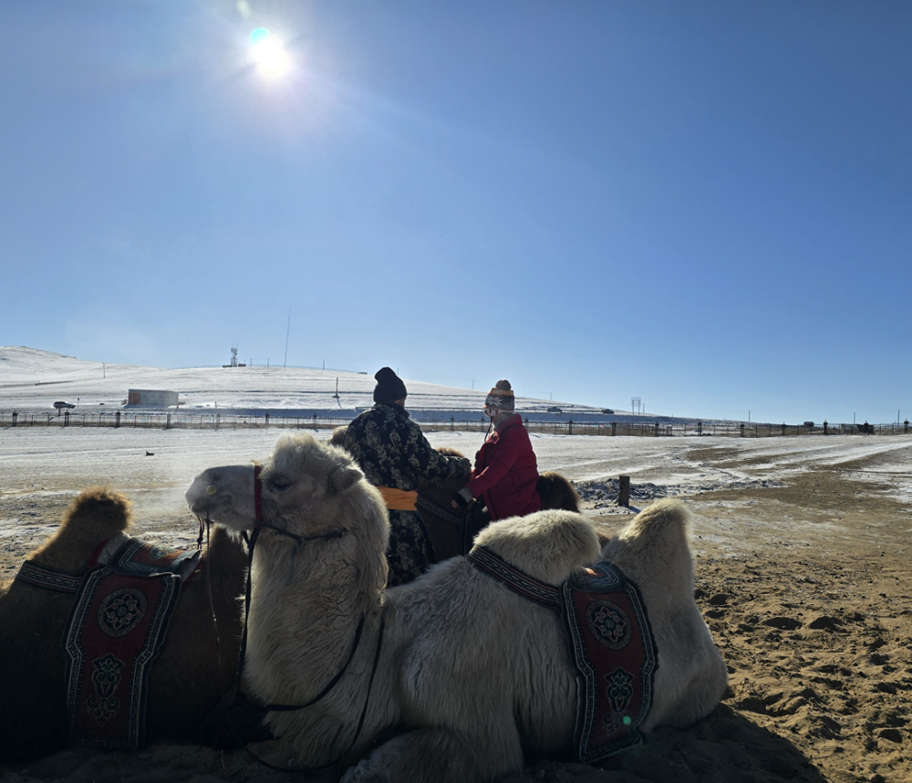 activity_detail_image