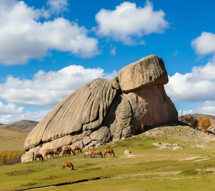 activity_detail_image