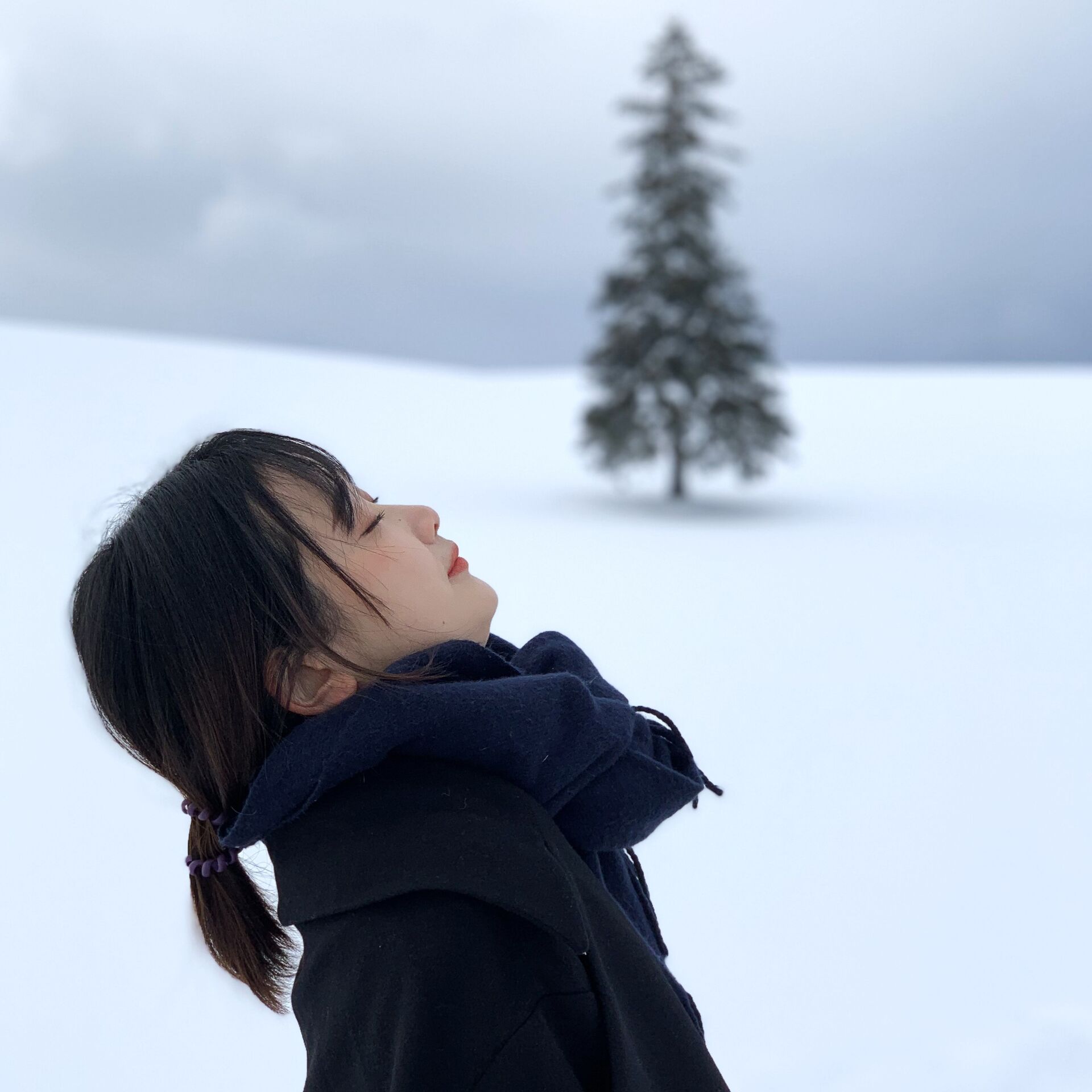 [독점할인] [아이트립] 삿포로 출발: 비에이 & 후라노 일일 투어 (패치워크 로드, 비에이역, 청의 호수, 흰 수염 폭포, 탁신관, 크리스마스 나무)