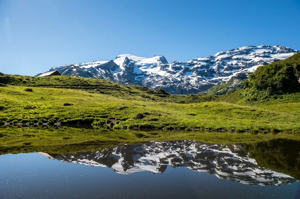 activity_detail_image