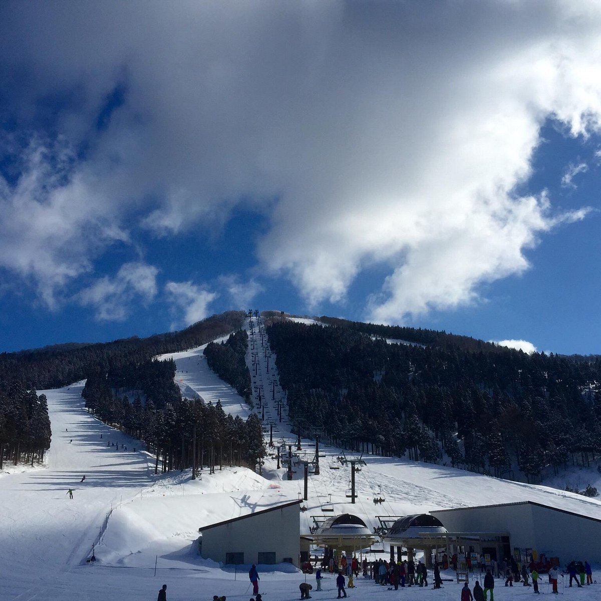 activity_detail_image