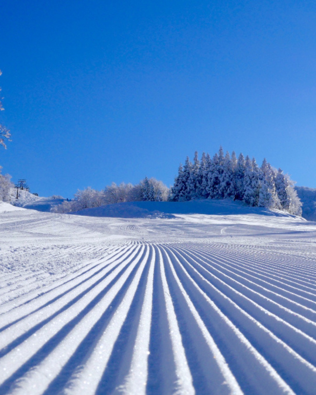 activity_detail_image