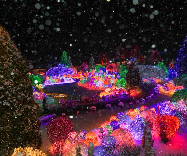 activity_detail_image