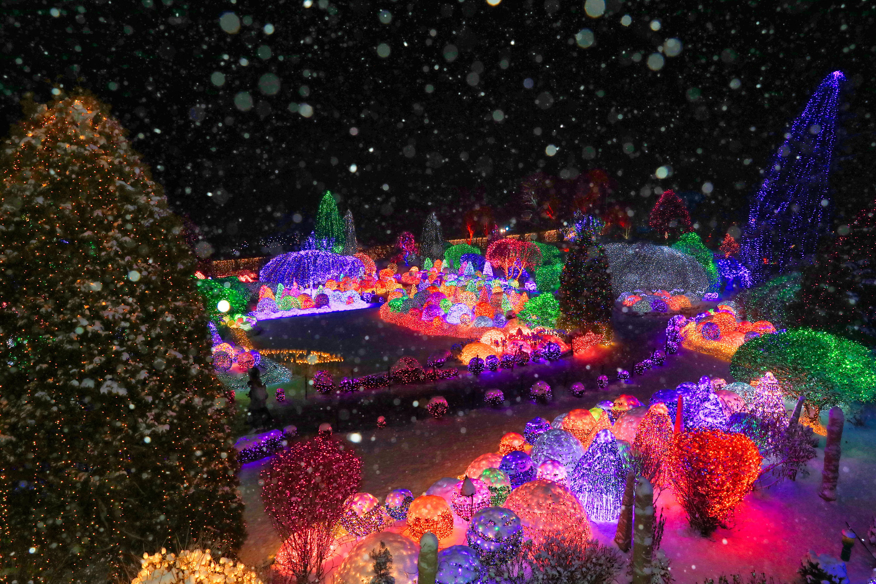 가평 아침고요수목원 + 가족 동물원 입장권 패키지