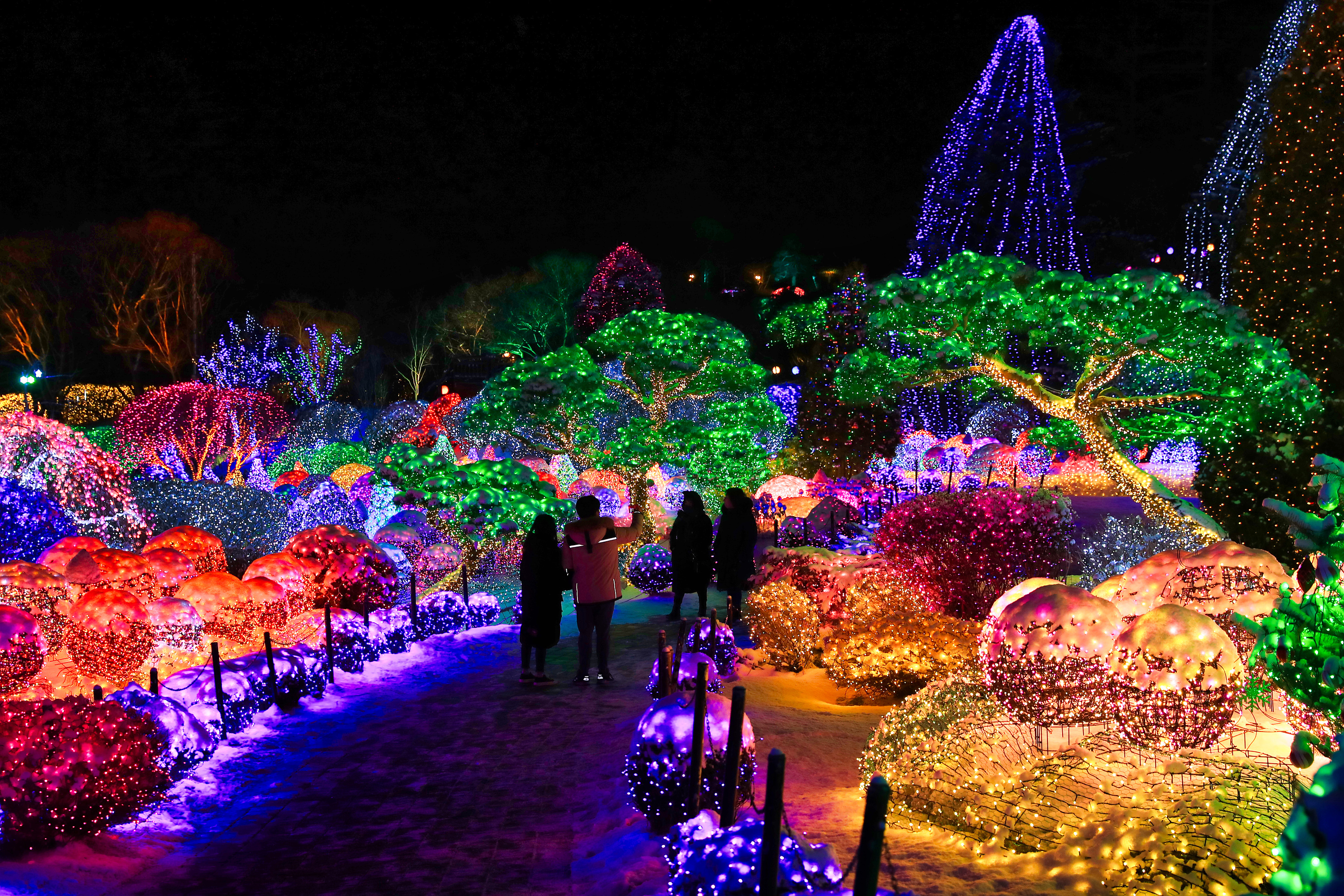 가평 아침고요수목원 + 가족 동물원 입장권 패키지