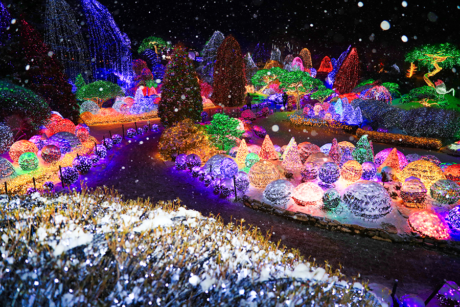 가평 아침고요수목원 + 가족 동물원 입장권 패키지