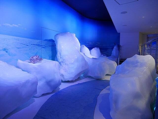 activity_detail_image