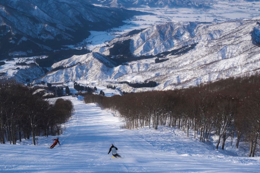 activity_detail_image