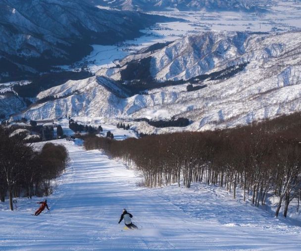 activity_detail_image