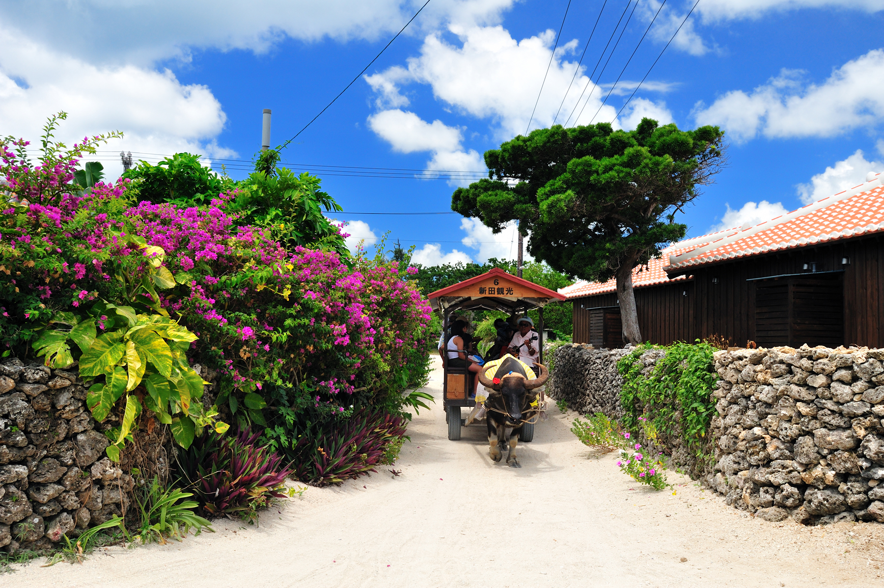 activity_detail_image