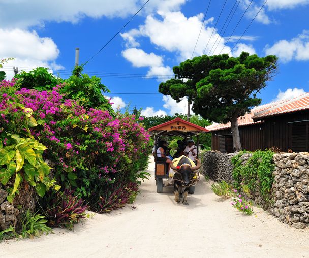 activity_detail_image