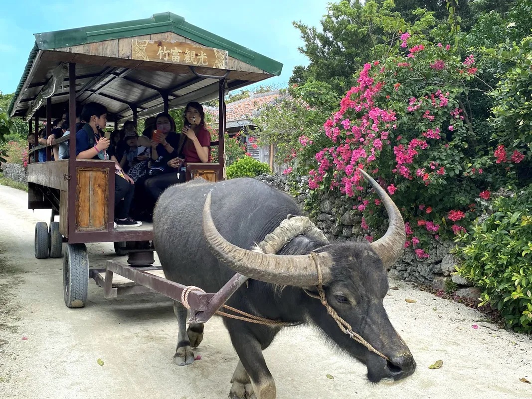 activity_detail_image