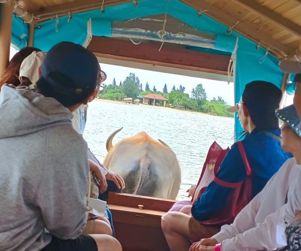 activity_detail_image