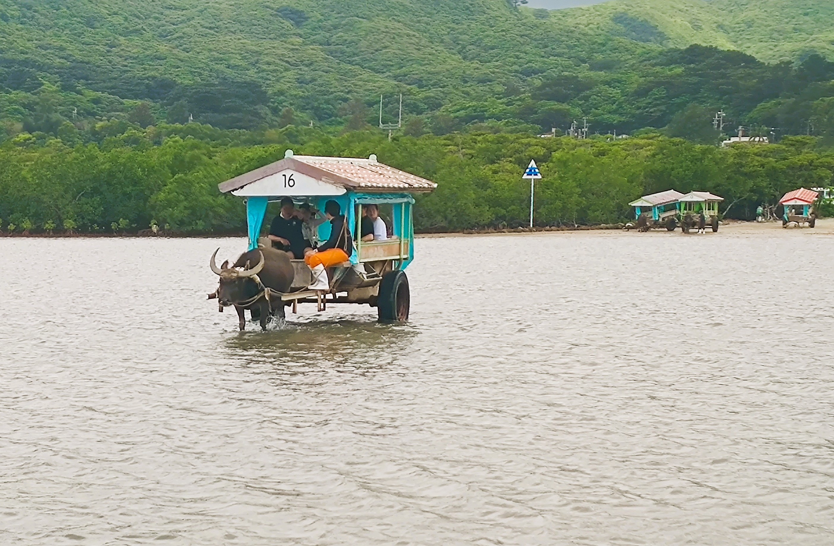 石垣島発 水牛車で巡る 西表島＆由布島 日帰りツアー