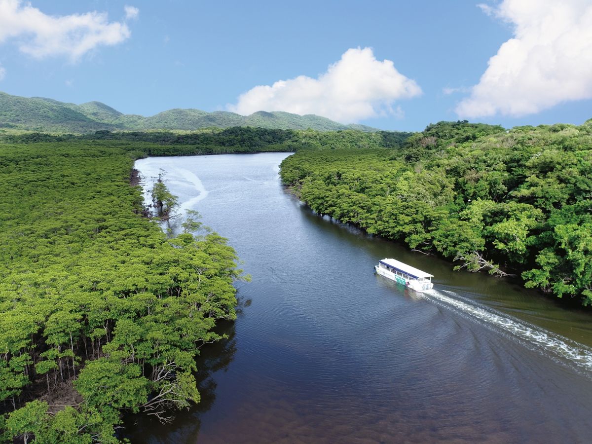 石垣島発 水牛車で巡る 西表島＆由布島 日帰りツアー