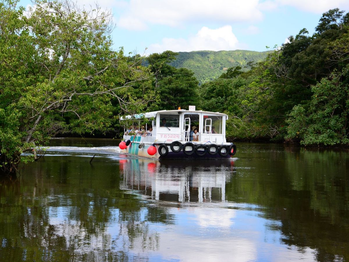 石垣島発 水牛車で巡る 西表島＆由布島 日帰りツアー