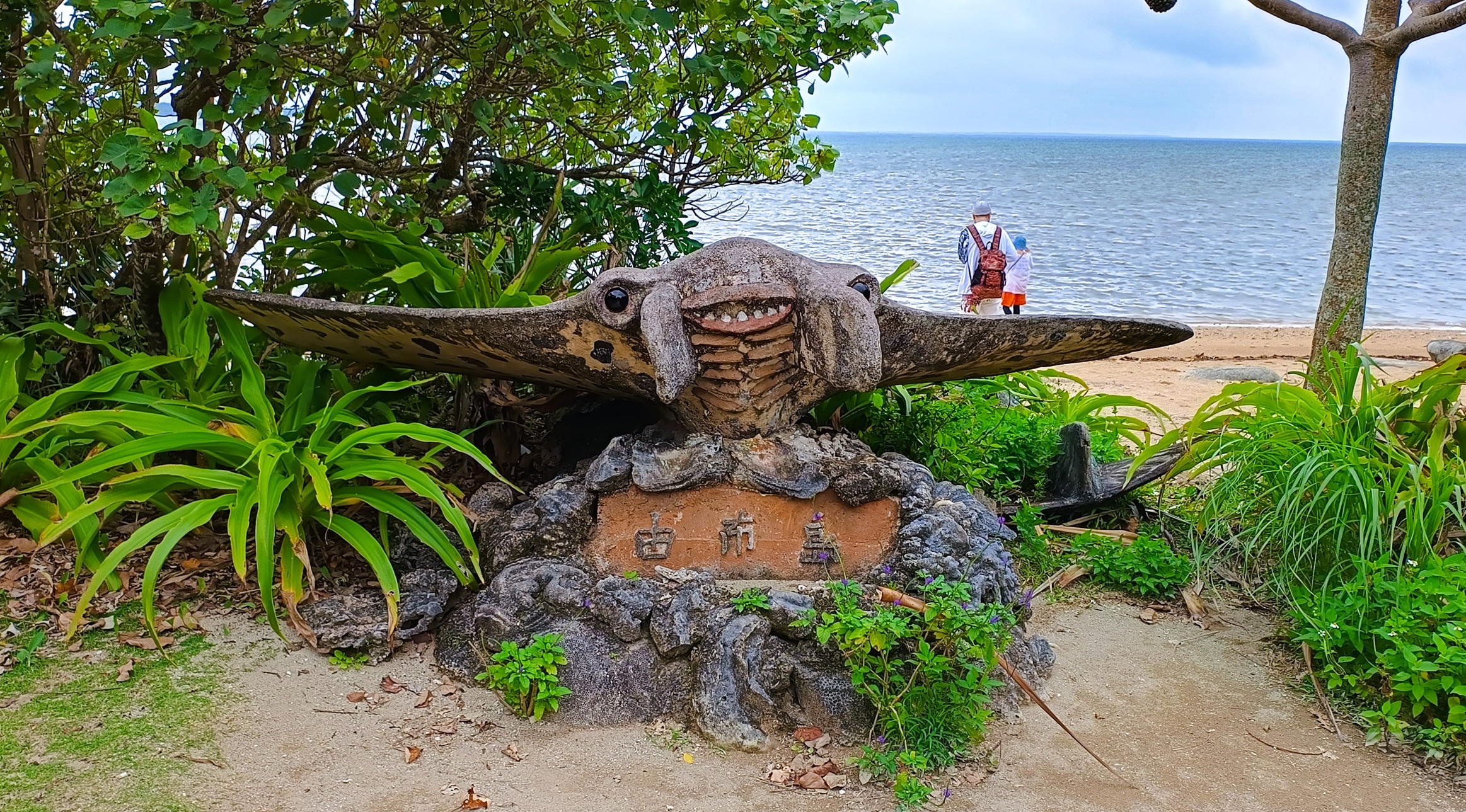 activity_detail_image