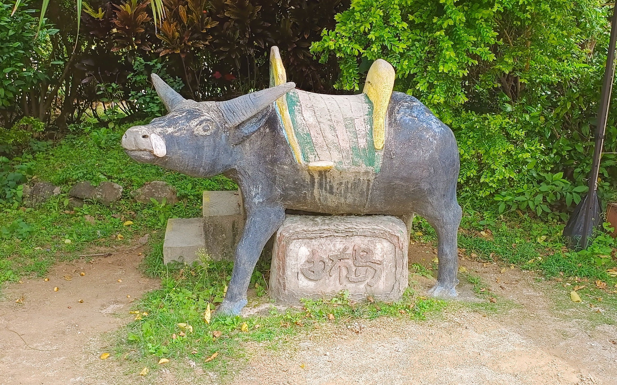 activity_detail_image