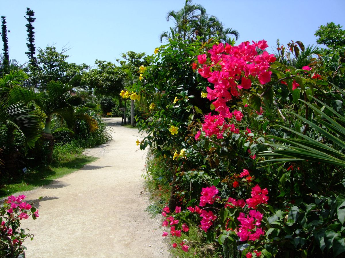 activity_detail_image