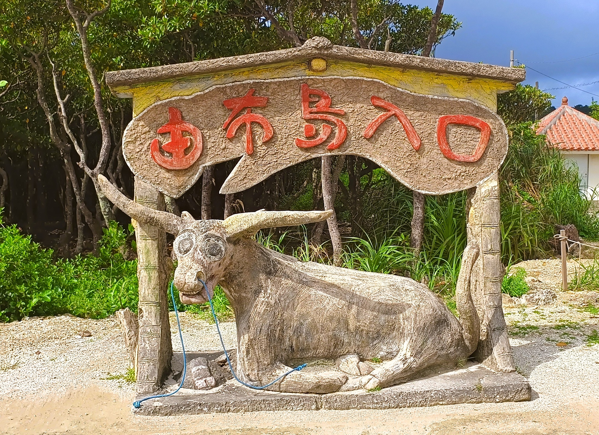 activity_detail_image