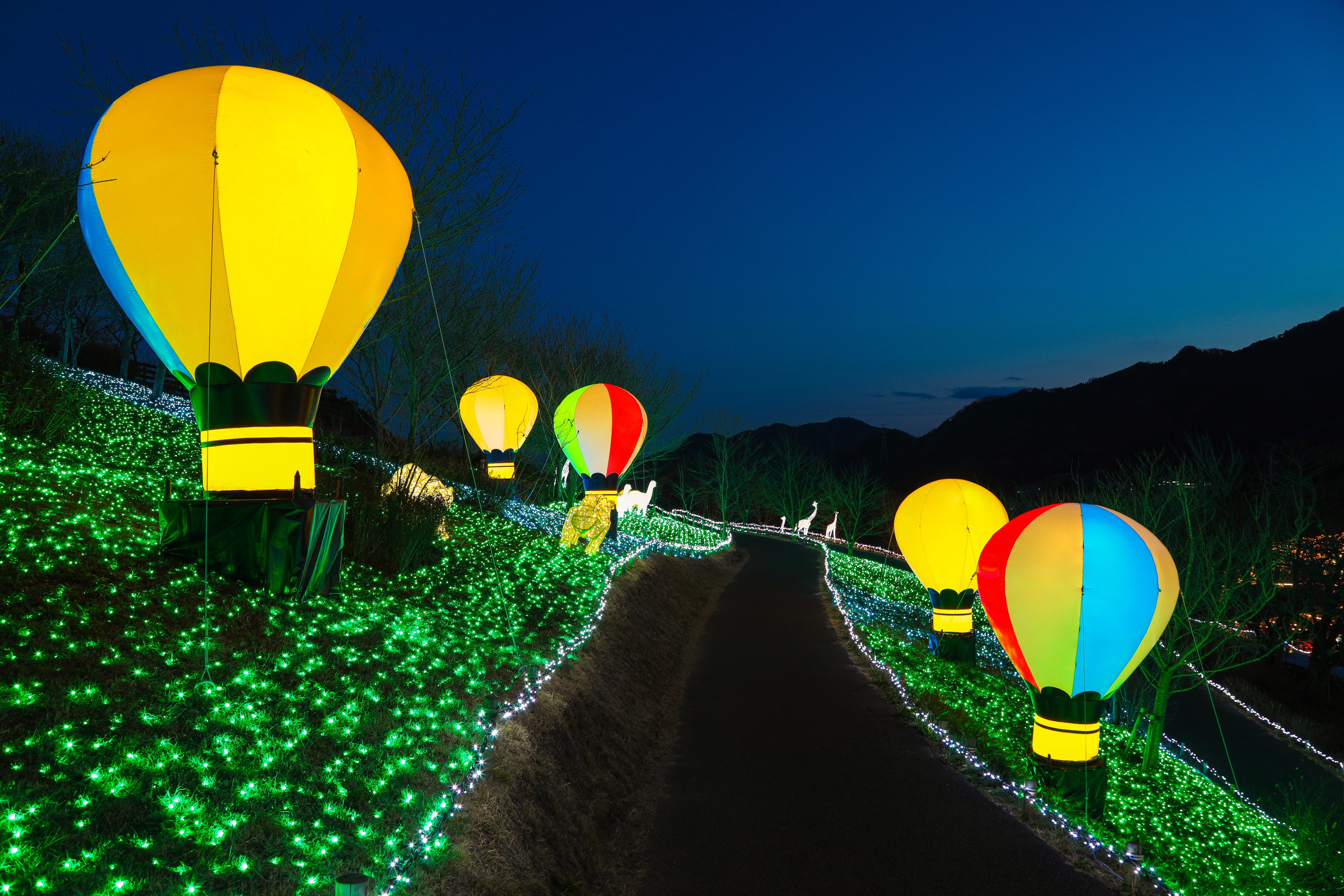 activity_detail_image