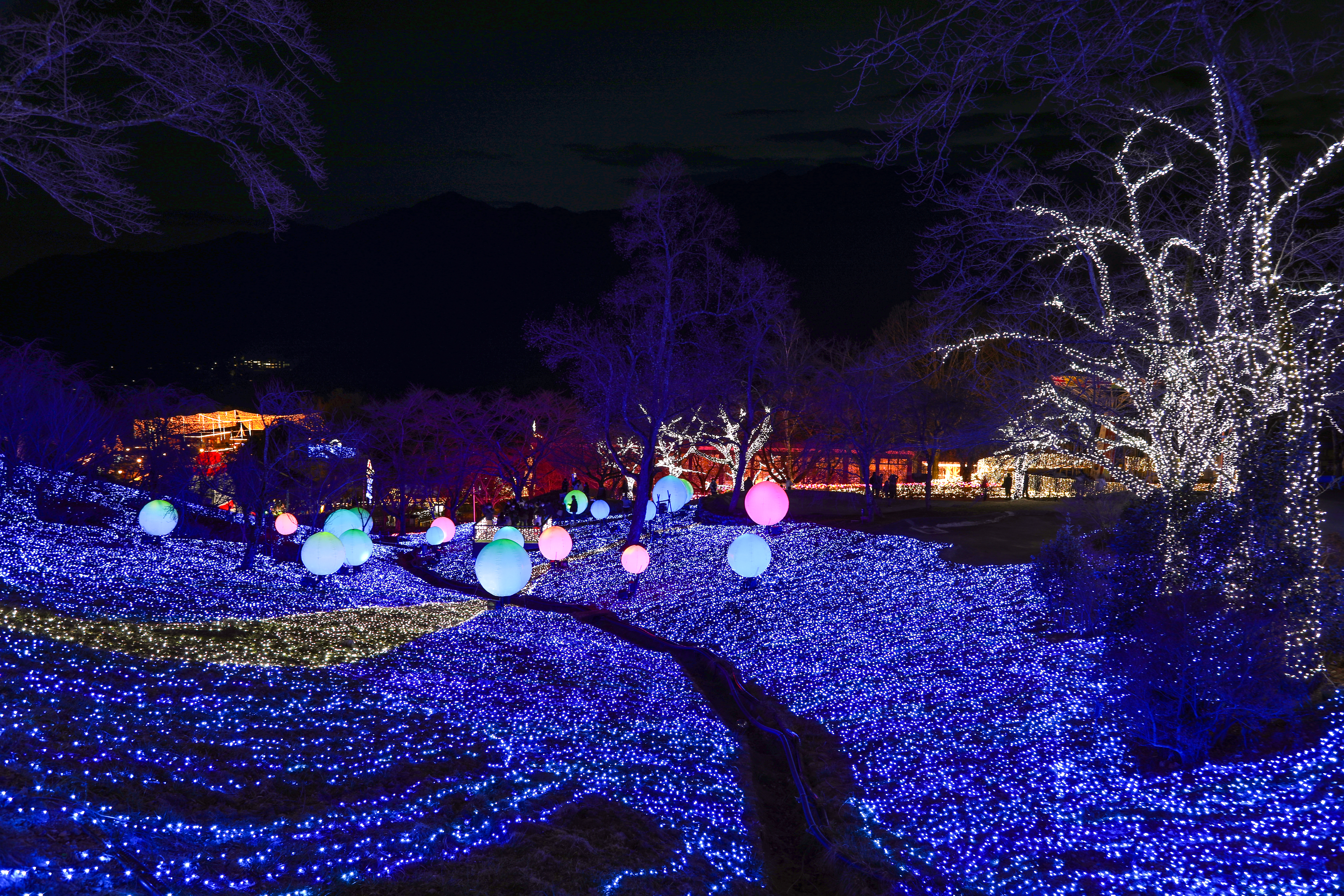 activity_detail_image