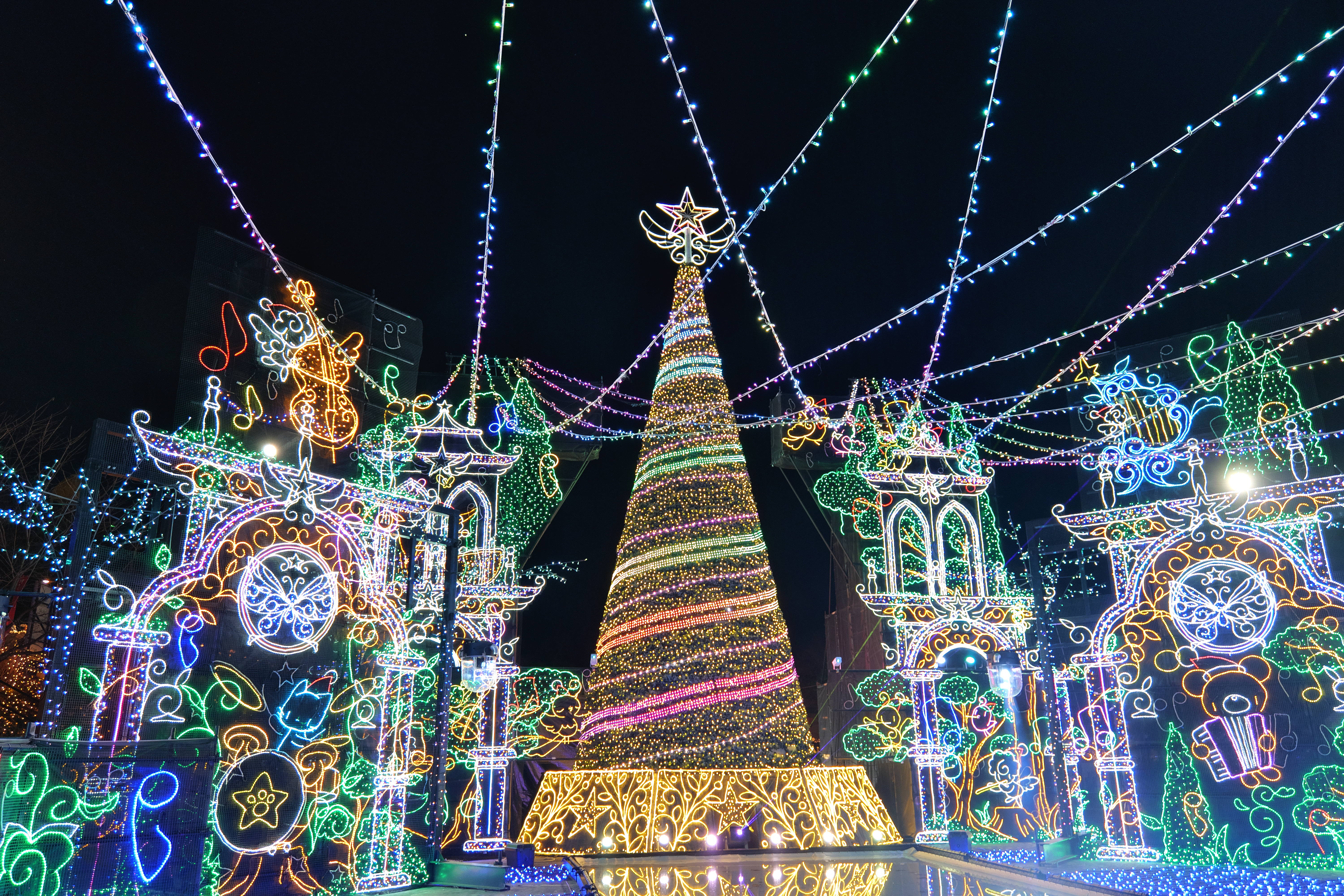 도쿄 출발: 후지산 인기 명소 & 사가미호 모리모리 일루미네이션 일일 투어