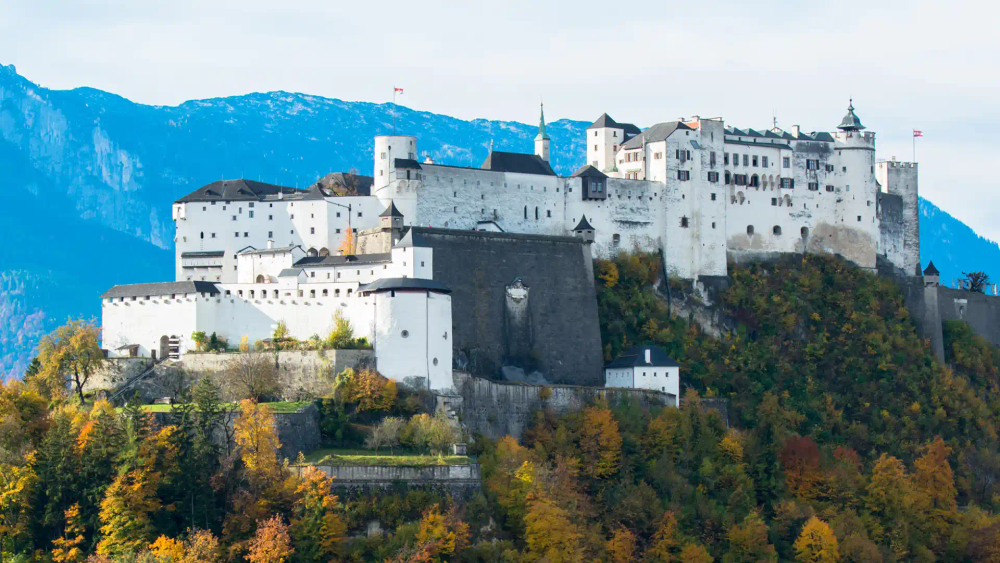 activity_detail_image