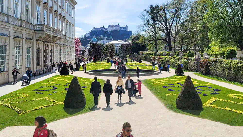 activity_detail_image