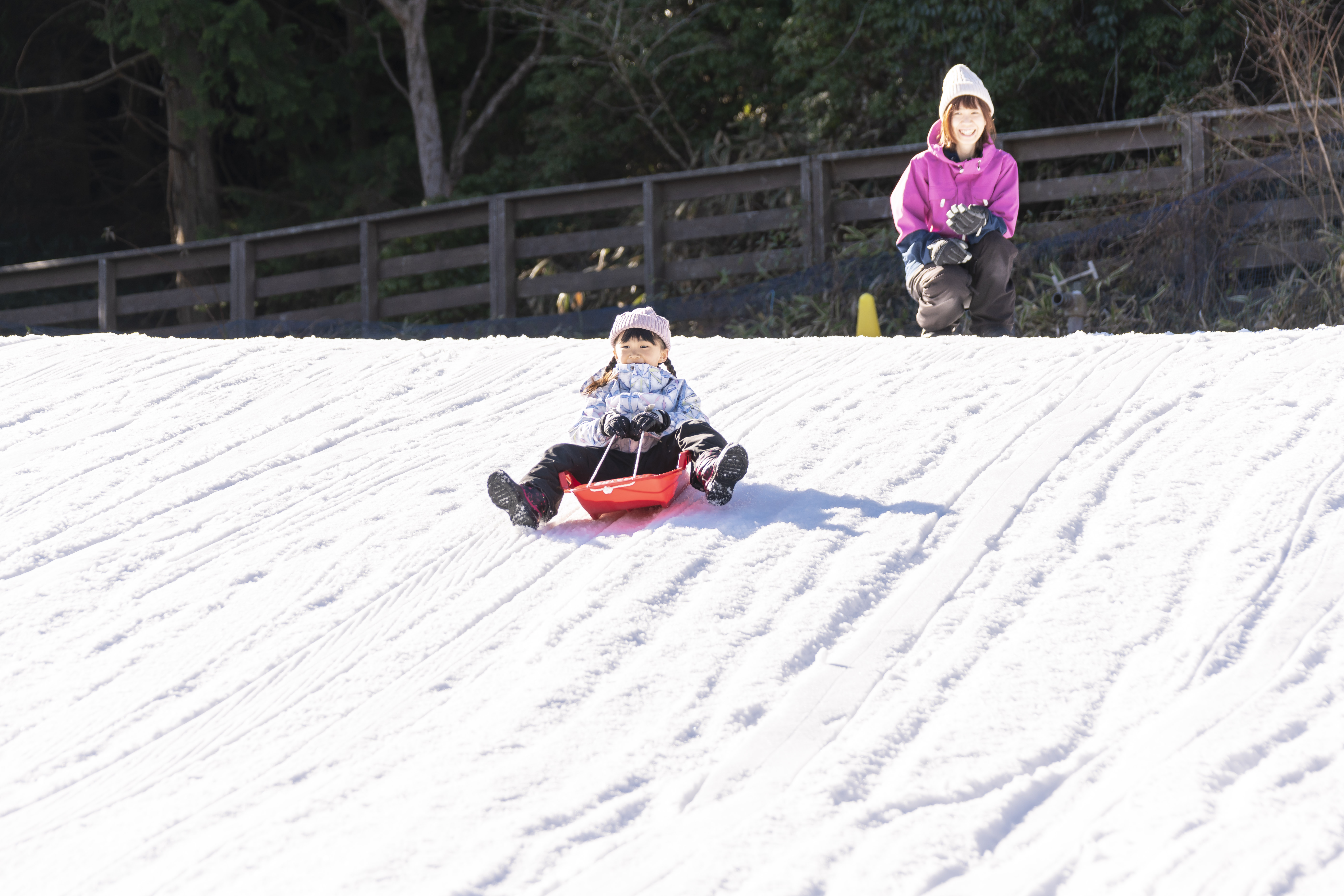 activity_detail_image