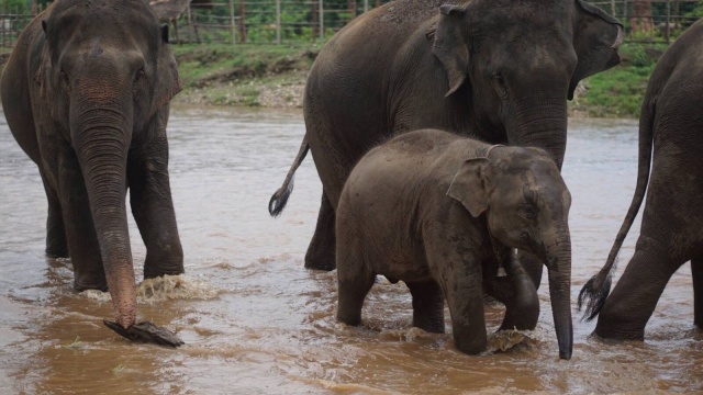 activity_detail_image