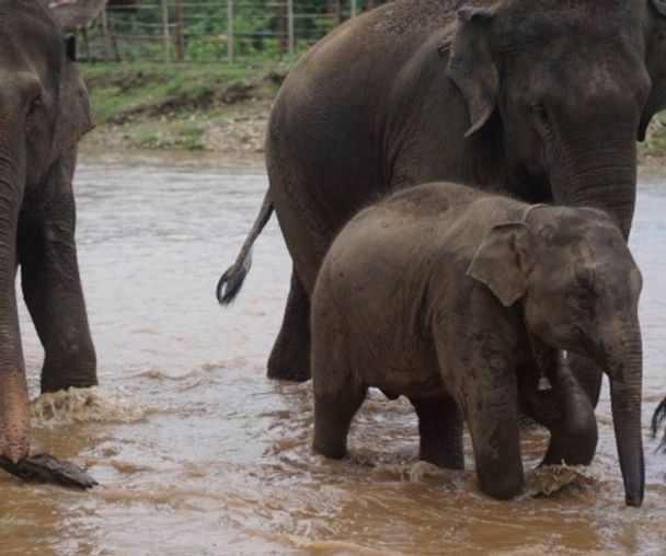 activity_detail_image