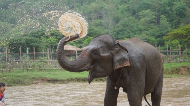 activity_detail_image