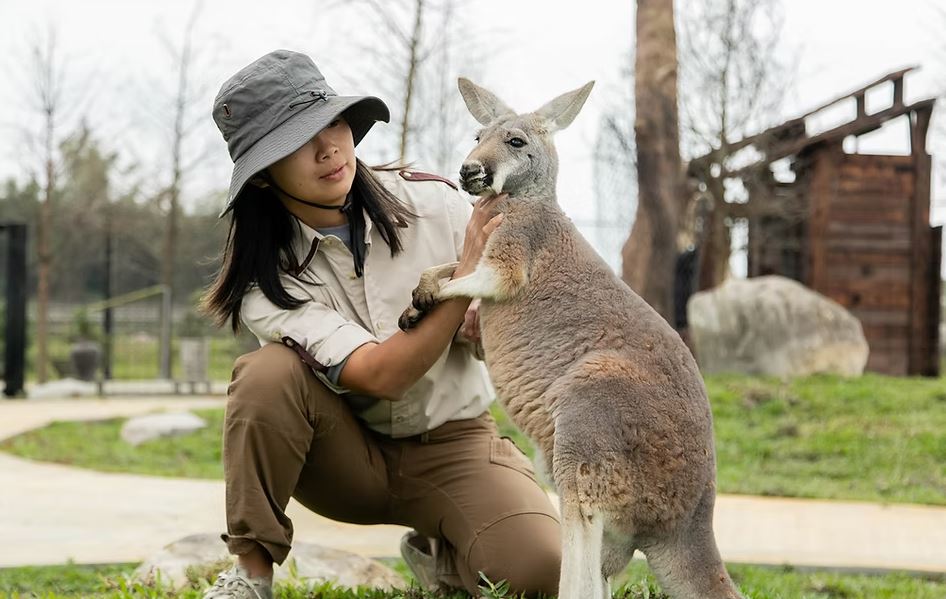 [타이완몬스터] 타이베이 근교 이란현 일일 투어 (란양동식물왕국 / 이란전통예술센터 / 카발란 위스키 증류소 / 자오시 온천마을)