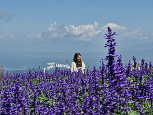 activity_detail_image