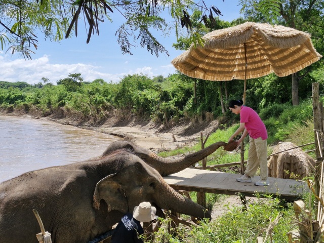 activity_detail_image