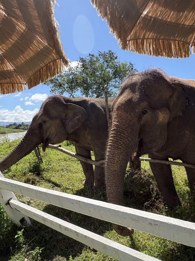 activity_detail_image