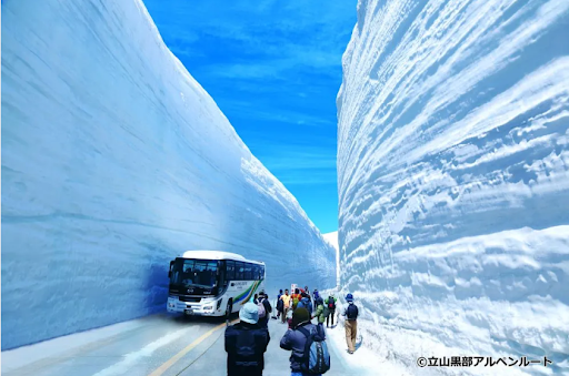 From Kanazawa: Tateyama Kurobe Alpine Route Day Tour