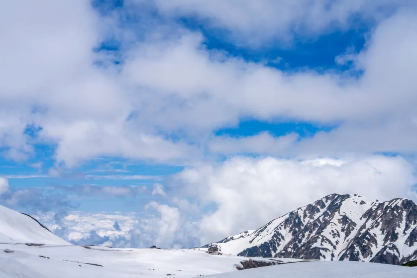 activity_detail_image