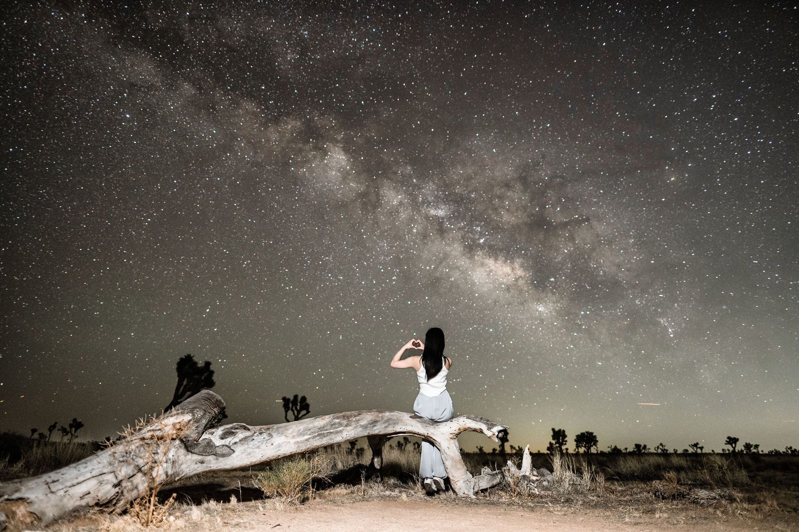 LA 출발: 조슈아트리 올인 별밤 투어 - 아름다운 별과 인생 스냅 사진