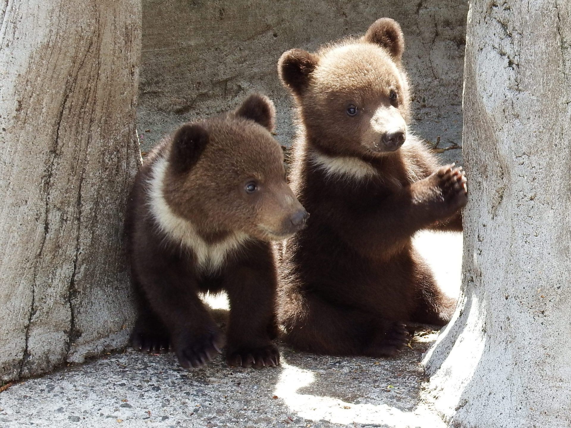 홋카이도 노보리베츠 프라이빗 단독 차량 일일투어