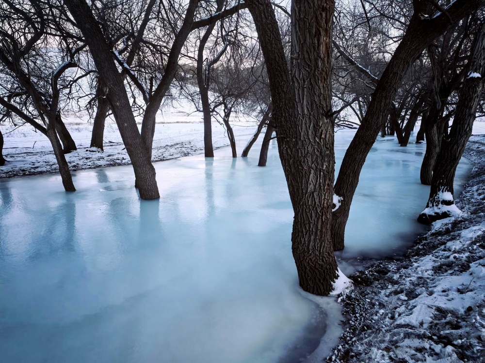 activity_detail_image