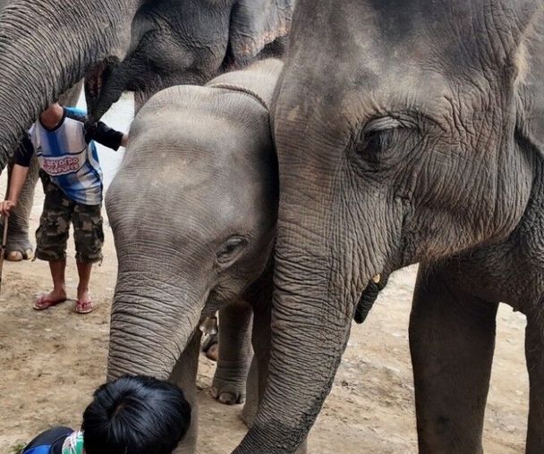 activity_detail_image