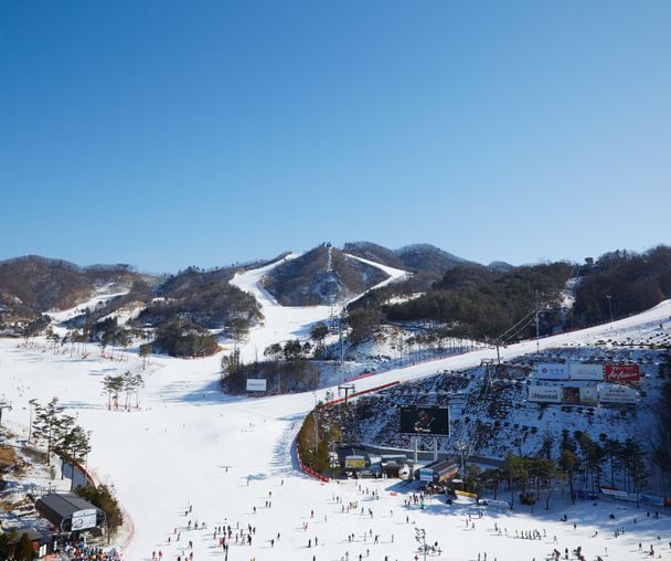 activity_detail_image