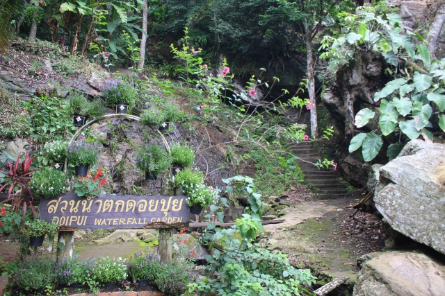 Chiang Mai Morning Doi Suthep & Doi Pui Hmong Village Tour