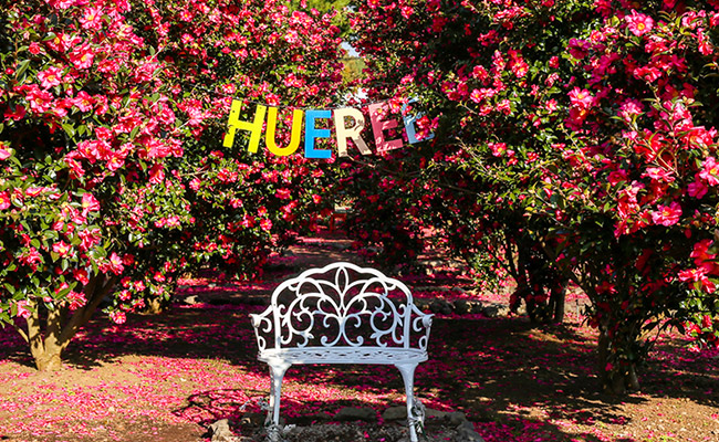 activity_detail_image