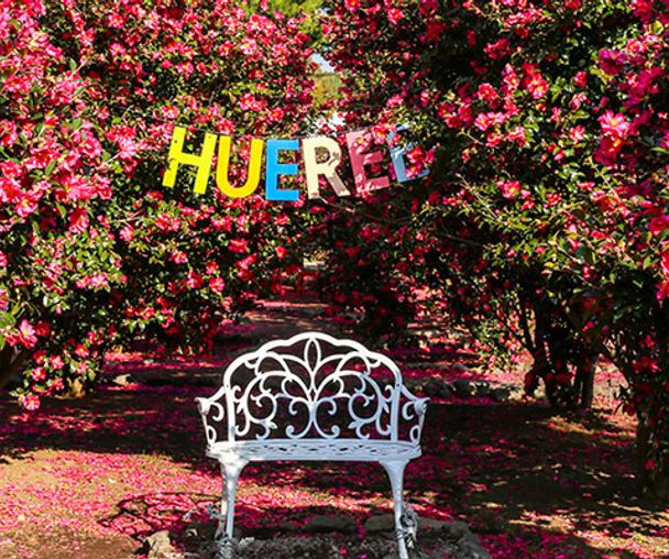 activity_detail_image