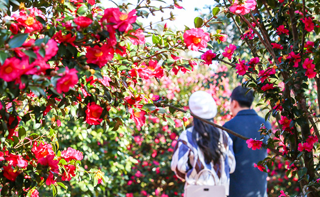 activity_detail_image